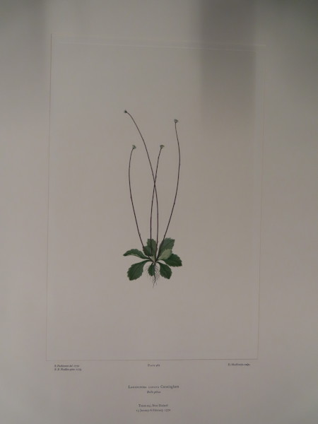 image FDA-E.2916_23_16-2016