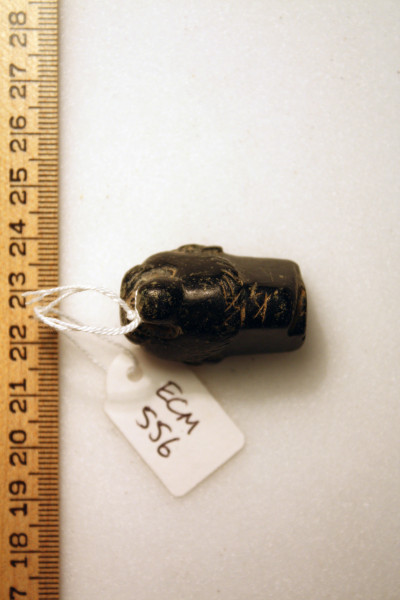 ECM.556-2010-B image ECM.556-2010-B