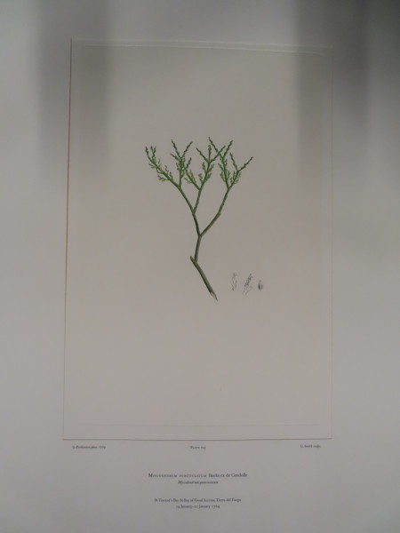 image FDA-E.2916_34_12-2016-A