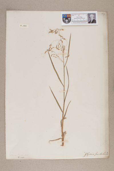 NHM_HH_37.24-2010 image NHM_HH_37.24-2010