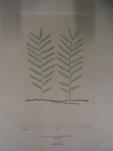 FDA-E.2916_27_23-2016 image FDA-E.2916_27_23-2016