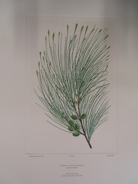 image FDA-E.2916_31_16-2016-A