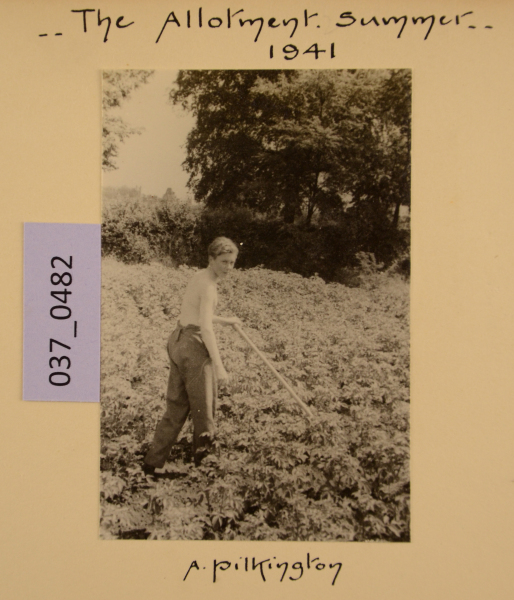 PA-A.37_482-2012 image PA-A.37_482-2012