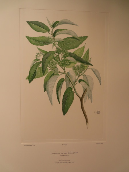 image FDA-E.2916_28_12-2016