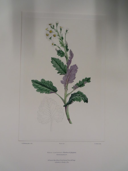 FDA-E.2916_33_19-2016-A image FDA-E.2916_33_19-2016-A