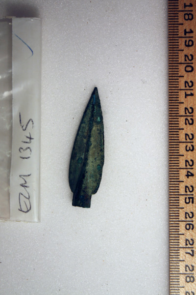 ECM.1345-2010-B image ECM.1345-2010-B