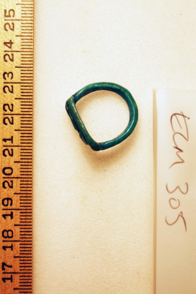 ECM.305-2010-B image ECM.305-2010-B