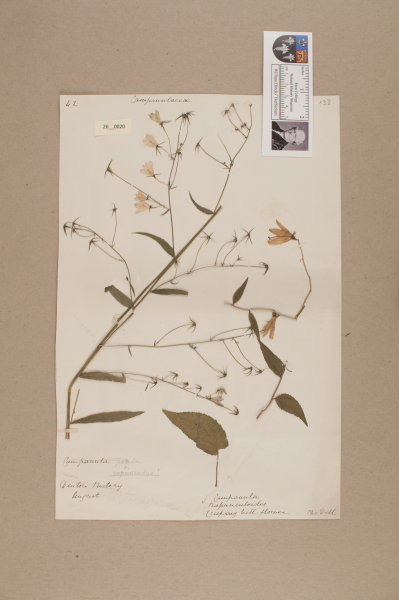 NHM_HH_26.20-2010 image NHM_HH_26.20-2010