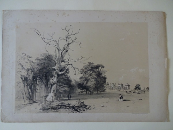 FDA-E.2835_4-2016 image FDA-E.2835_4-2016