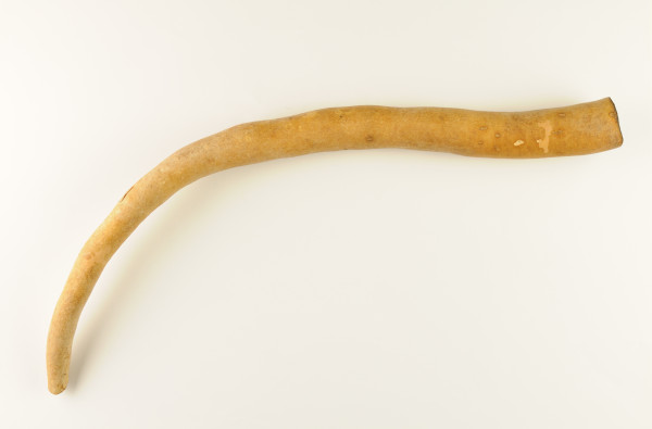 NHM-HT.24-2014 image NHM-HT.24-2014