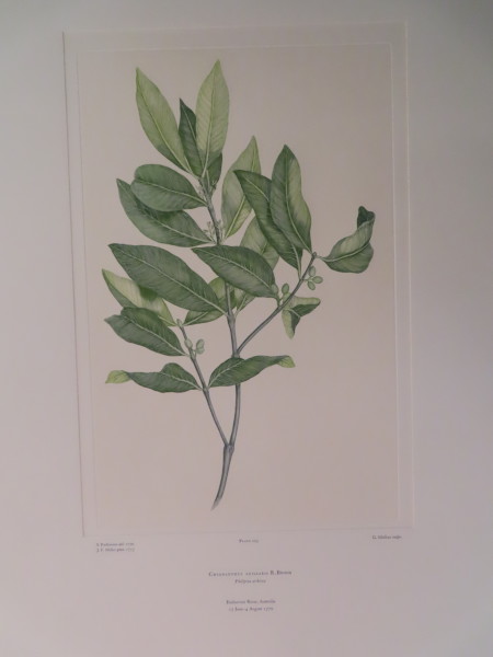 FDA-E.2916_10_6-2016-A image FDA-E.2916_10_6-2016-A