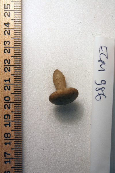 ECM.986-2010-A image ECM.986-2010-A