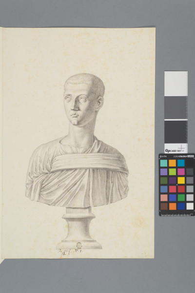 ECL-Bm.12_3-2013 image ECL-Bm.12_3-2013