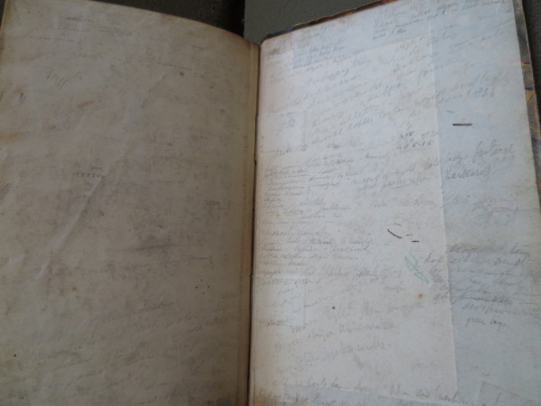 FDA-V.3-2016-ZZX image FDA-V.3-2016-ZZX