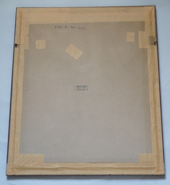 image FDA-E.981-2013-A
