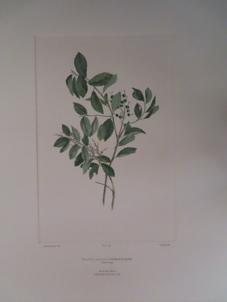 FDA-E.2916_16_19-2016 image FDA-E.2916_16_19-2016