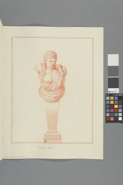 ECL-Bm.5_17-2012 image ECL-Bm.5_17-2012