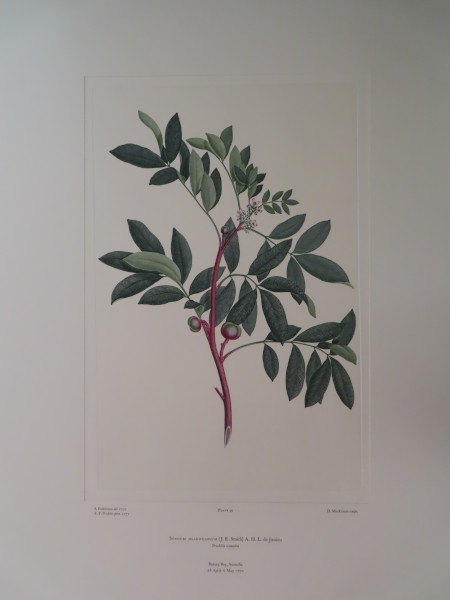 image FDA-E.2916_2_20-2016-A