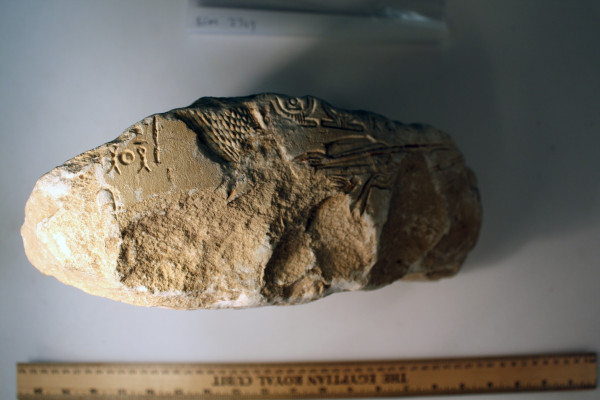 ECM.2319-2017-A image ECM.2319-2017-A