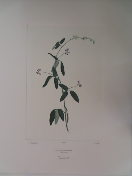 FDA-E.2916_4_7-2016-A image FDA-E.2916_4_7-2016-A