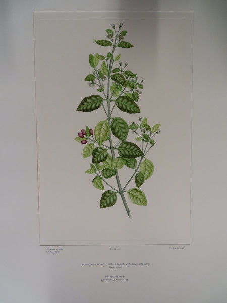 FDA-E.2916_21_20-2016-A image FDA-E.2916_21_20-2016-A