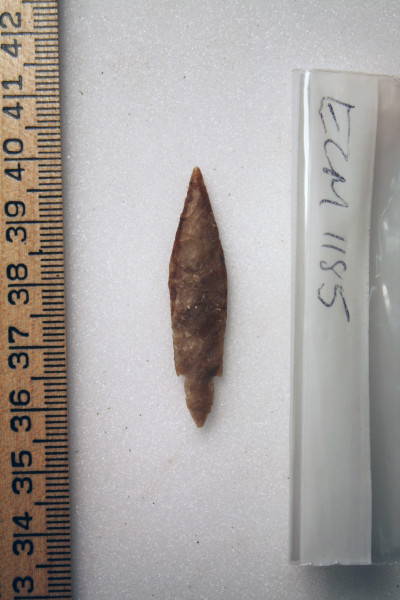 ECM.1185-2010-A image ECM.1185-2010-A