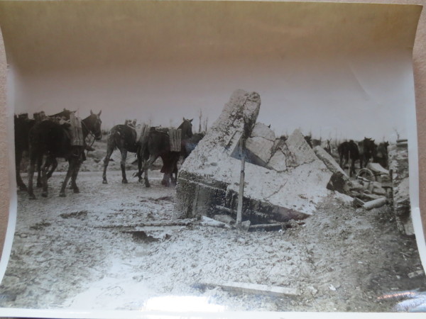 image ECL-O.146_2-2014