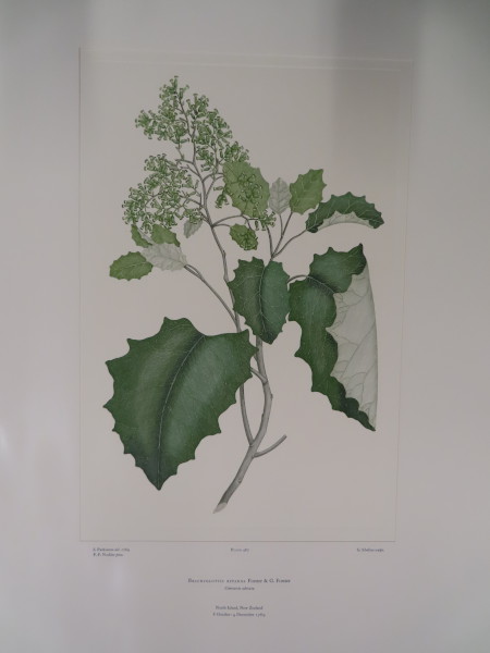 FDA-E.2916_23_21-2016-A image FDA-E.2916_23_21-2016-A