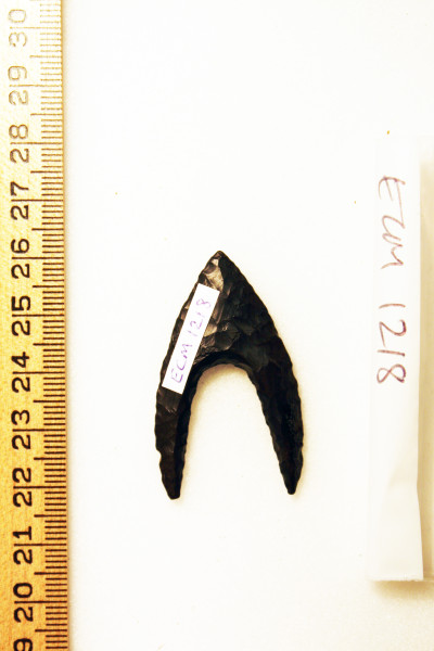 ECM.1218-2010-B image ECM.1218-2010-B