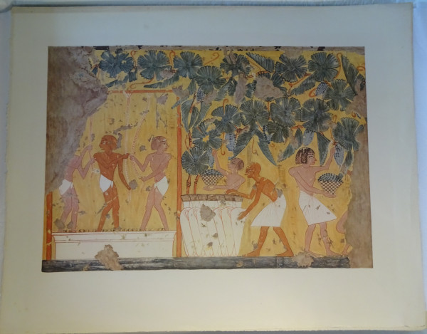 image FDA-E.3055_79-2018