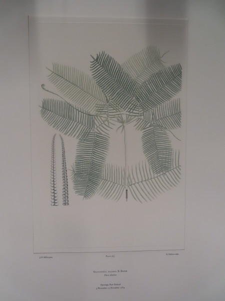 image FDA-E.2916_27_5-2016-A