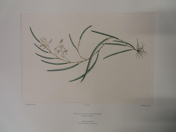 FDA-E.2916_31_20-2016 image FDA-E.2916_31_20-2016