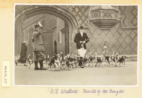 PA-A.51_117-2013 image PA-A.51_117-2013