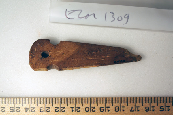 ECM.1309-2010-B image ECM.1309-2010-B