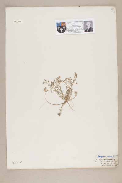 NHM_HH_9.78-2010 image NHM_HH_9.78-2010