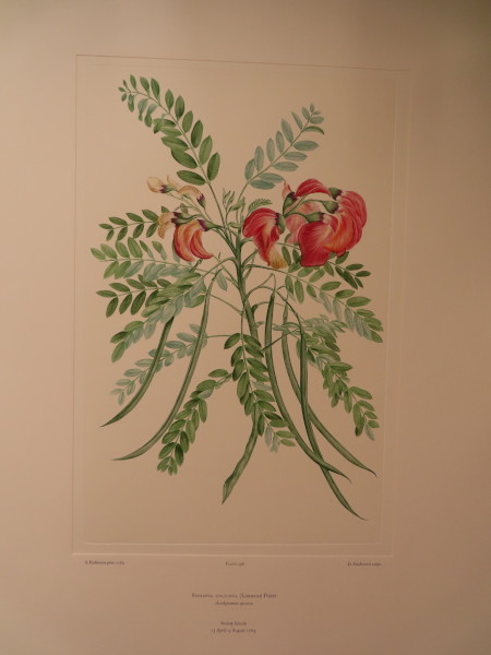 image FDA-E.2916_28_17-2016