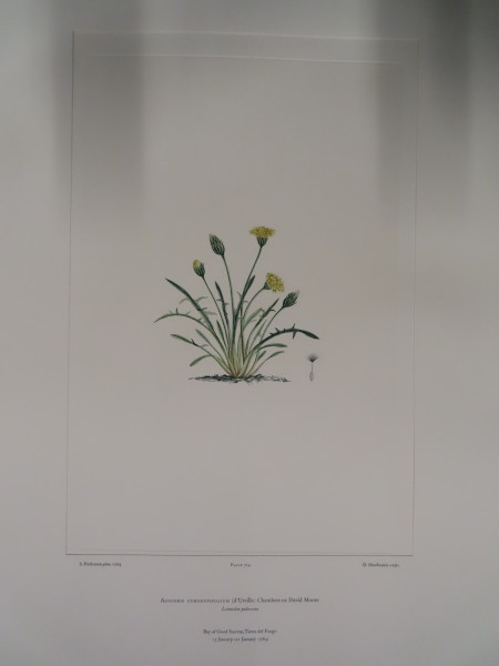 image FDA-E.2916_33_23-2016