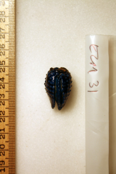 ECM.31-2010-B image ECM.31-2010-B