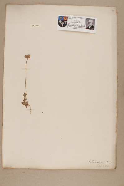 NHM_HH_26.3-2010 image NHM_HH_26.3-2010