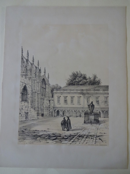 image FDA-E.2836_7-2016