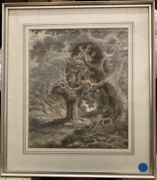 FDA-D.1655-2021 image FDA-D.1655-2021