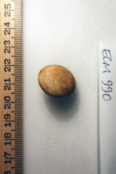 ECM.990-2010-A image ECM.990-2010-A