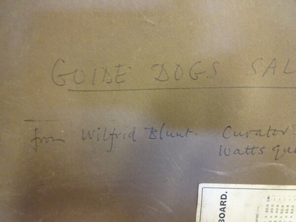 image FDA-P.313-2010-G