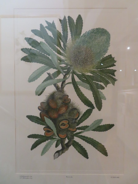 FDA-E.2916_13_18-2016-A image FDA-E.2916_13_18-2016-A