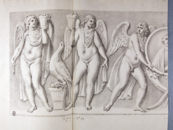 ECL-Bm.8_43-2013 image ECL-Bm.8_43-2013