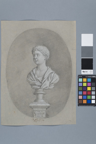 ECL-Bm.13_73-2013-A image ECL-Bm.13_73-2013-A