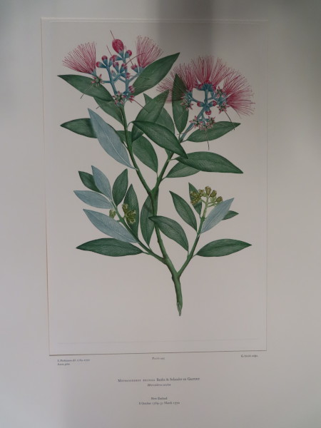 FDA-E.2916_21_25-2016-A image FDA-E.2916_21_25-2016-A