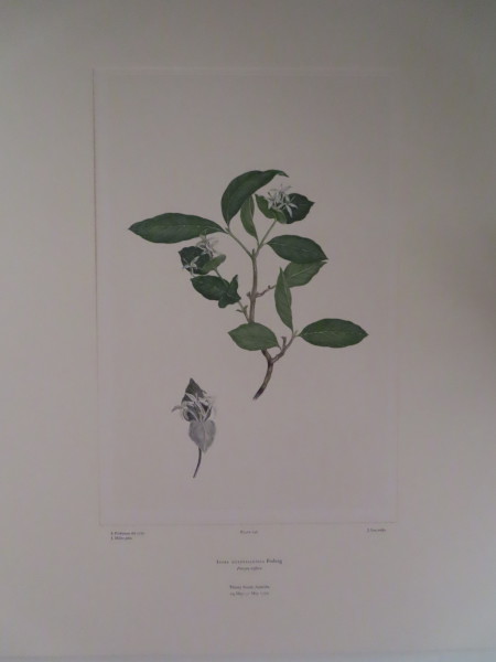 image FDA-E.2916_7_14-2016