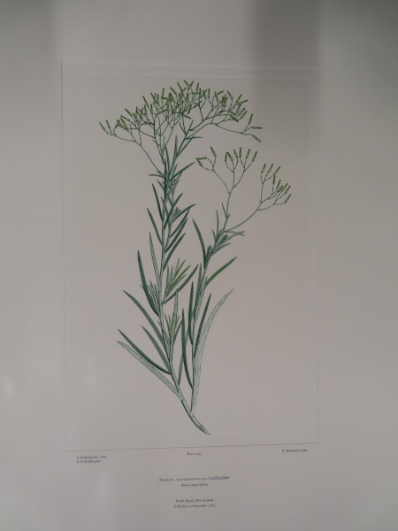 FDA-E.2916_23_26-2016-A image FDA-E.2916_23_26-2016-A