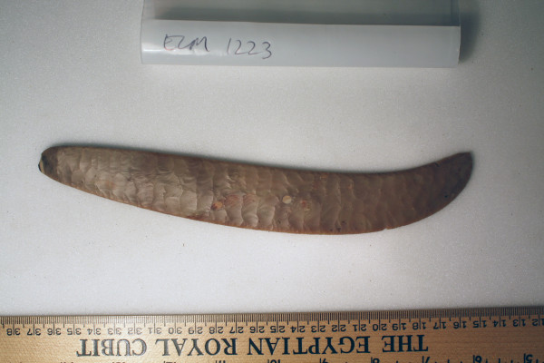 ECM.1223-2010-B image ECM.1223-2010-B